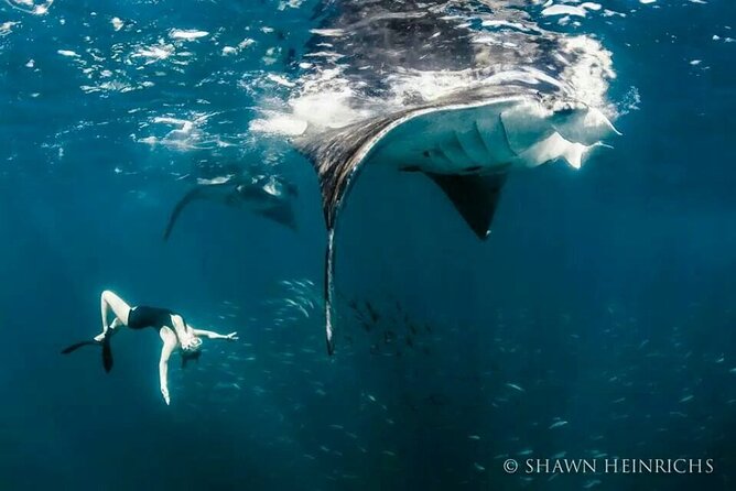 Full-Day Tour in Nusa Penida Island + Snorkeling Experience - The “Yogi factor” and custom pacing on your day