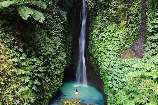 Full-Day Tour to Water Temples and UNESCO Rice Terraces in Bali - Sacred Monkey Forest Sanctuary: temples tucked into the forest