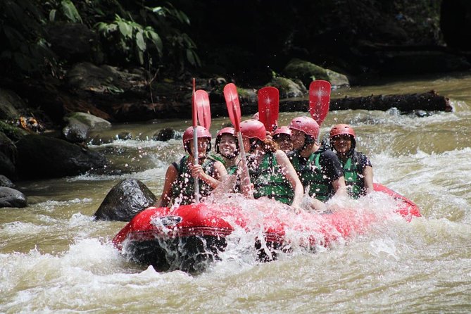 Full-Day Tour: White Water Rafting and Highlight of Ubud with All-inclusive - A full-day Ubud combo: Ayung River rafting plus Monkey Forest