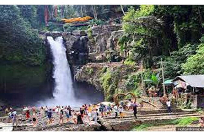 Full day Ubud and Tanah Lot tour - Why Ubud Monkey Forest and Tanah Lot belong in the same day
