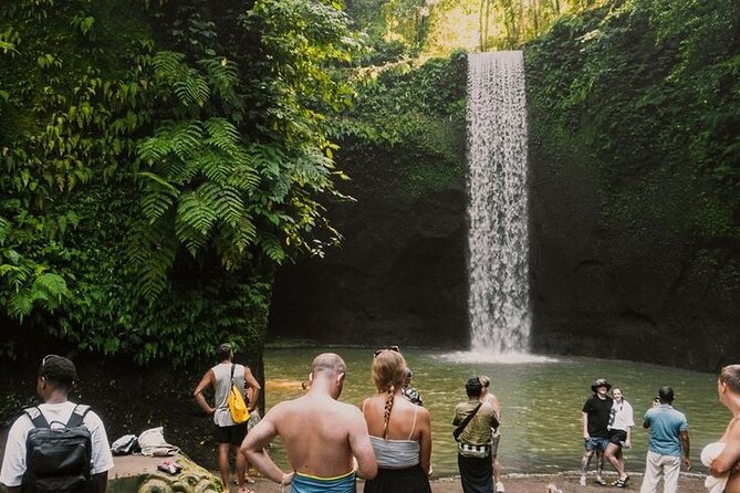 Full Day Ubud Custom Private Tour with Hotel Pickup - Pickup and timing: start at 9:00 am and keep control