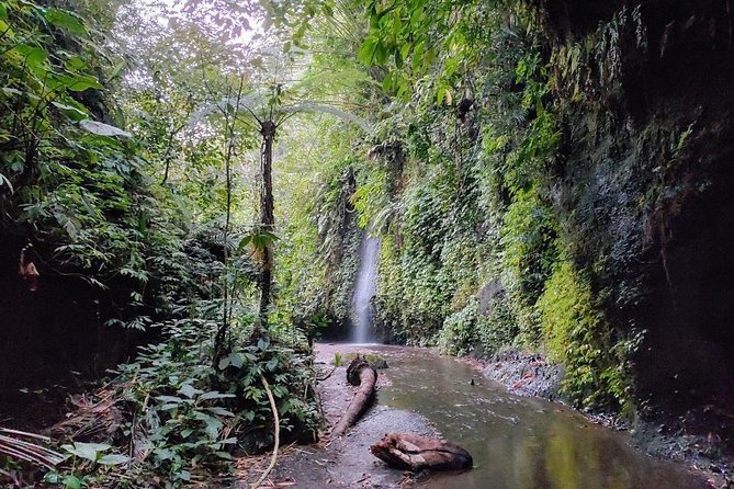 Get wet on Bali's most stunning waterfalls - Key points to know before you go