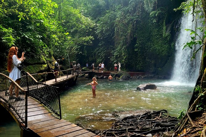 Half Day Tour Ubud Rice Terrace with Activities and Waterfall - Quick highlights