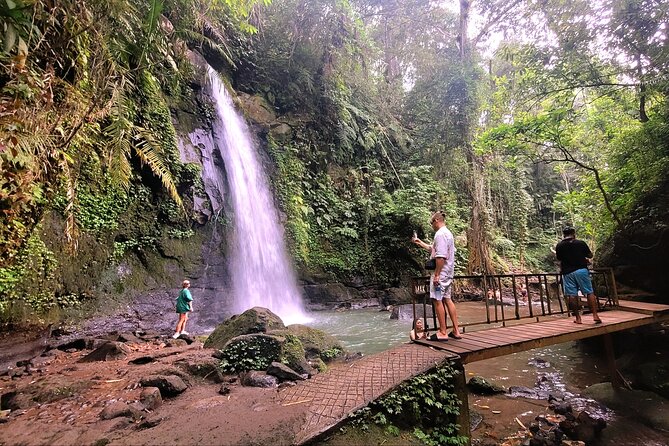 Half Day Tour Ubud Rice Terrace with Activities and Waterfall - Why This Half-Day Ubud Combo Works
