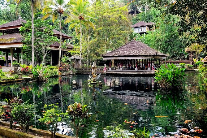 Half Day Tour Ubud Rice Terrace with Activities and Waterfall - Price and Value: What You’re Paying For