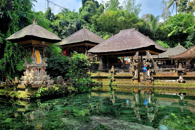 Half Day Tour Ubud Rice Terrace with Activities and Waterfall - What to Pack for Comfort (This Tour’s Short, So Do It Right)