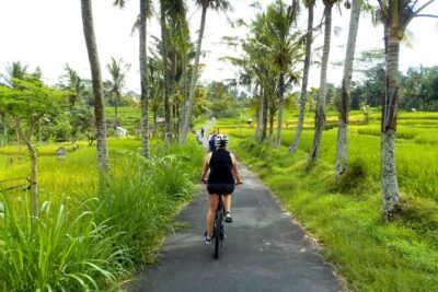 Half-Day Ubud Electric Cycling Tour to Tirta Empul Water Temple - Pedaling through rice terraces and villages: what you notice beyond the photos