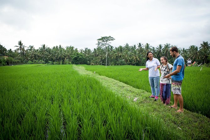 Half-Day Ubud Heritage Food Tour - Key Highlights You Should Care About