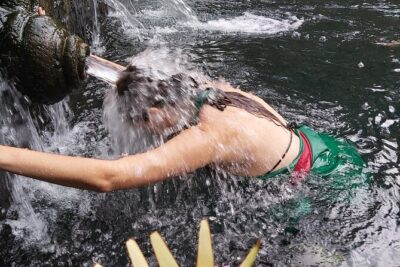 Half Day Ubud Tour - Private Guided Tour - Tegenungan Waterfall: quick access and a chance to slow down