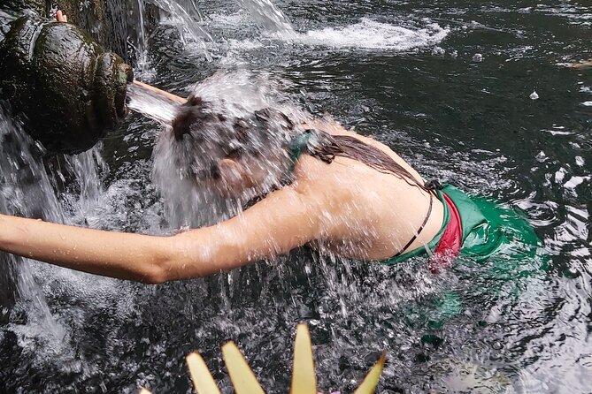Half Day Ubud Tour - Private Guided Tour - Tegenungan Waterfall: quick access and a chance to slow down