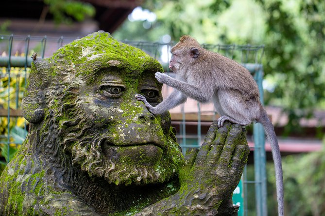 Half Day Ubud Tour: Ubud Unique Spots - Why this combo tour works better than doing Ubud in pieces