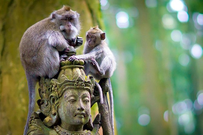 Half Day Ubud Tour: Ubud Unique Spots - Price and logistics: where the $38.98 actually goes