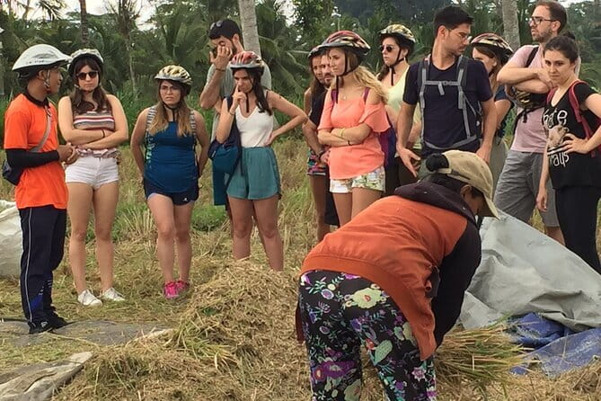HALO BIKE Downhill Bali Countryside Cycling Tour - Why this Ubud downhill ride feels refreshingly local