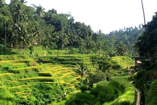 Heaven Gate, Tirtagangga and Tukad Cepung Waterfall - All Inclusive - Tukad Cepung Waterfall: sun-beam photography in a canyon setting