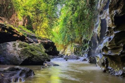 Hidden Canyon Beji Guwang & White Water Rafting - Ayung River Rafting: Grade II–III and a Clear 10-Kilometer Run
