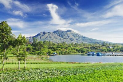 Highlights of Ubud & Mount Batur Volcano - Private Day Trip - Tegalalang rice terraces: a short walk that tells a bigger story