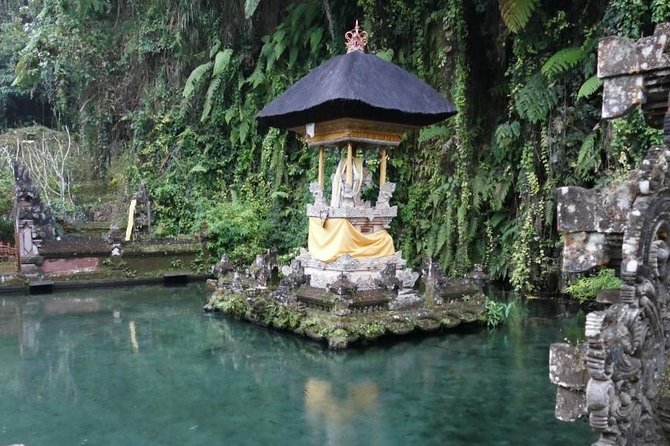 Hire Bali Driver for 10-hour (Bali as You Please) - Money basics: what you pay for, what you should budget extra