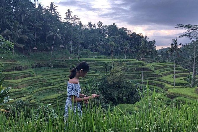 Hire Bali Driver for 10-hour (Bali as You Please) - How to get better photos and less stress at every stop