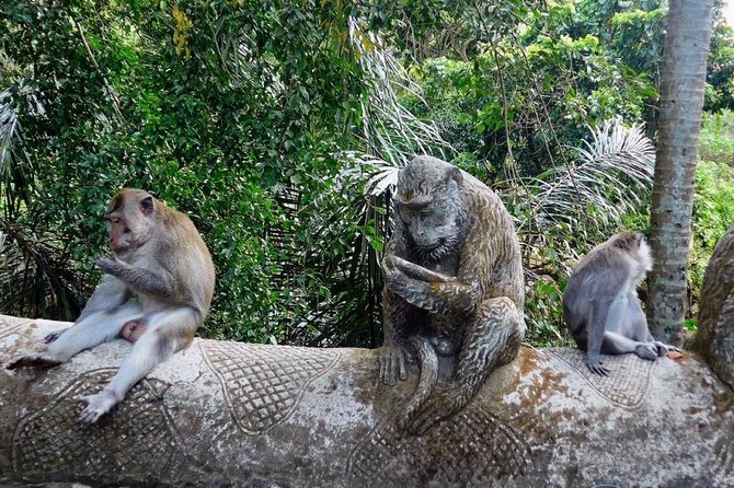 Hire Bali Driver for 10-hour (Bali as You Please) - Should you book this 10-hour Bali driver day?