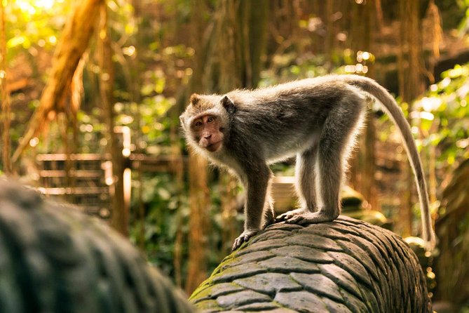 Hire Private Bali Driver - How I’d plan an 8-hour itinerary that doesn’t feel rushed