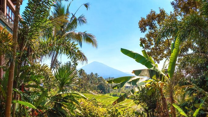 Jatiluwih Batukaru Mountain Nature's Best Tour - Quick hits before you go