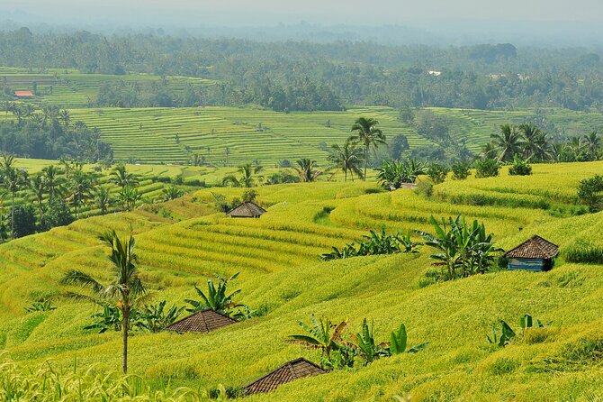 Jatiluwih Batukaru Mountain Nature's Best Tour - Walking to Pura Luhur Batukaru Temple: Quiet Power in the Forest