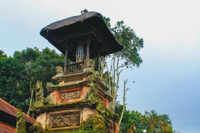 Jatiluwih Batukaru Mountain Nature's Best Tour - Stop 1 at Mount Batukaru: Farming Elite Country and Volcanic Soil