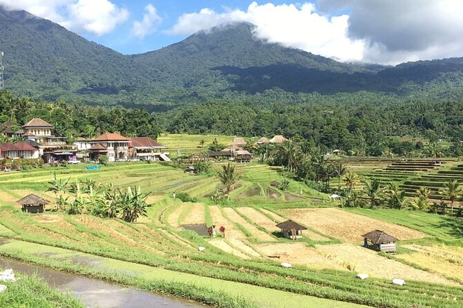 Jatiluwih Batukaru Mountain Nature's Best Tour - Price and Logistics: What the $61.54 Gets You