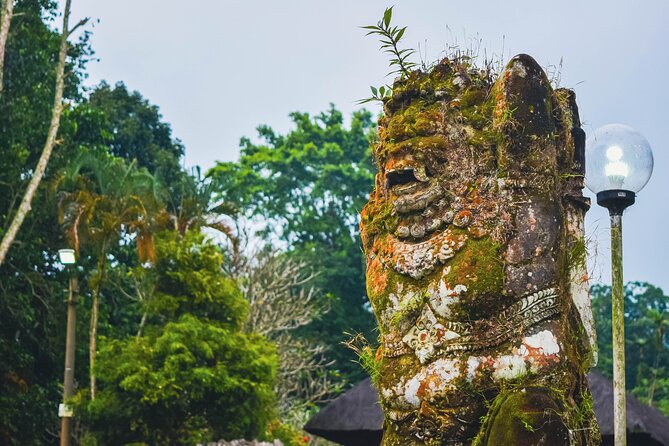 Jatiluwih Batukaru Mountain Nature's Best Tour - Best Fit for This Bali Countryside Day Trip