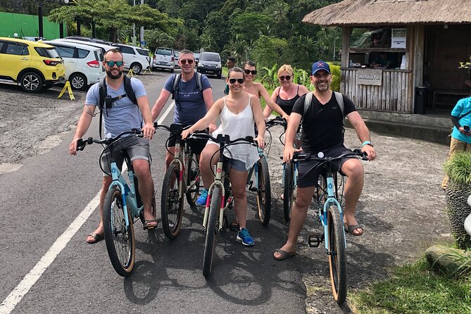 Jatiluwih E-bikes Tour Cycling Group - Riding comfort and fitness level: who this suits best