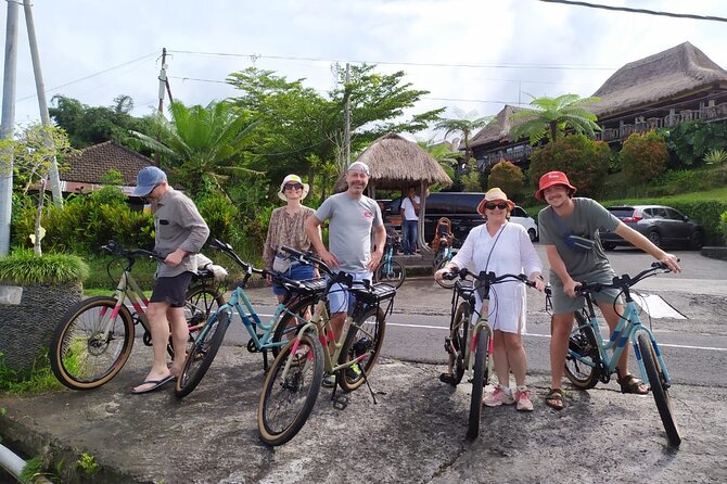 Jatiluwih E-bikes Tour Cycling Group - Price and what you actually get for $49.95