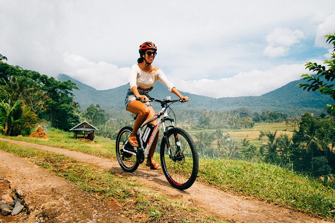Jatiluwih in detail (1 h. e-bike tour in the rice terraces) - Key things to know before you ride Jatiluwih