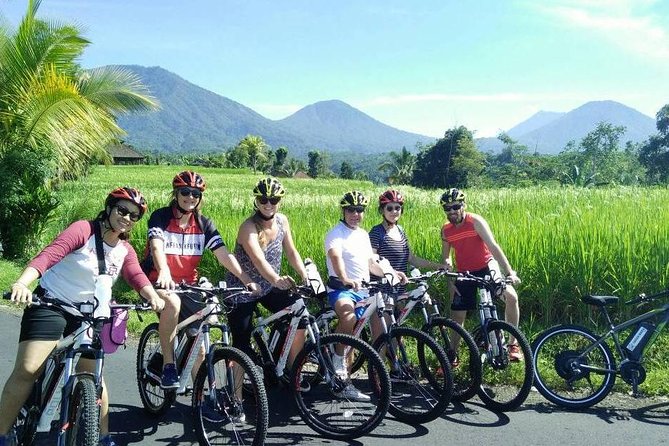 Jatiluwih in detail (1 h. e-bike tour in the rice terraces) - Why Jatiluwih Works So Well on an E-bike