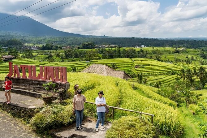 Jatiluwih Spiritual Journey of Melukat with Rice Terrace View - Ubud Monkey Forest: a second dose with a different feel