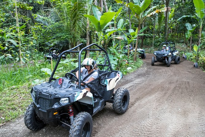 Jungle Buggy Adventure and Ubud Tour - Sacred Monkey Forest Sanctuary: a cultural stop with its own vibe