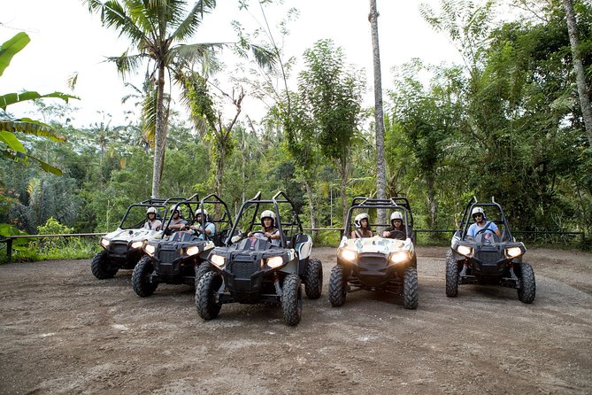 Jungle Buggy Adventure and Ubud Tour - Tegalalang Rice Terrace stop: setting the scene before you go fast