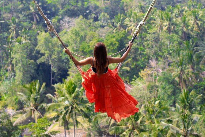Jungle Swing - Volcano - Water Temple - Monkey Forest and Waterfall Tour - My Swing Bali: a jungle swing break (and how to choose)