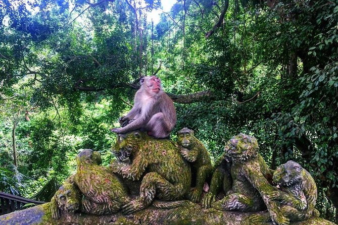 Jungle Swing - Volcano - Water Temple - Monkey Forest and Waterfall Tour - The Ubud Monkey Forest walk: fun, but respect the wild