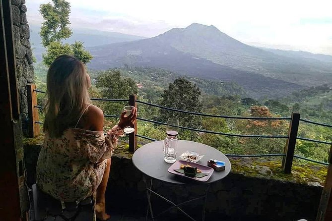 Jungle Swing - Volcano - Water Temple - Monkey Forest and Waterfall Tour - How private transport changes your day (and where it saves real stress)
