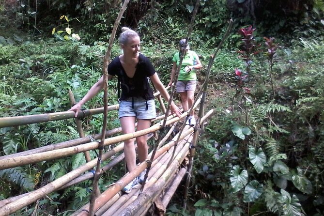 Keliki Village Tour And Rice Field Walk Including Lunch Or Dinner - Price and value: what $41 buys beyond a stroll