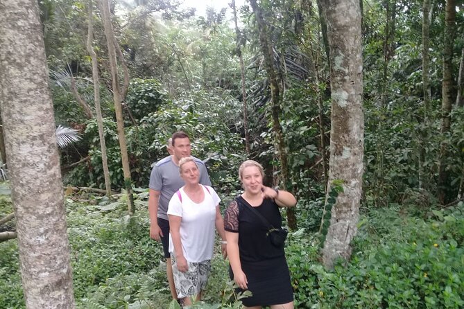 Keliki Village Tour And Rice Field Walk Including Lunch Or Dinner - The route to Keliki: jungle paths, fields, and farm work