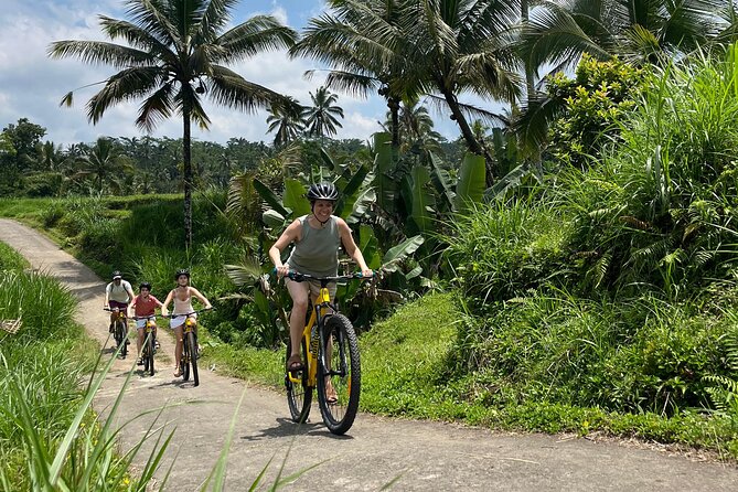 Kintamani Down Hill Cycling - Key Highlights at a Glance
