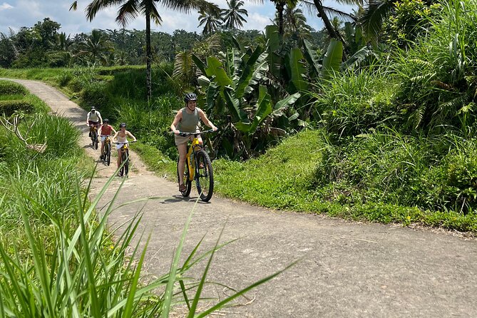 Kintamani Down Hill Cycling - The School Stop: Learning Without the Script