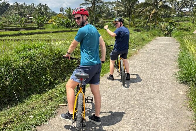 Kintamani Down Hill Cycling - Pickup, Meeting Point, and How the Day Flows