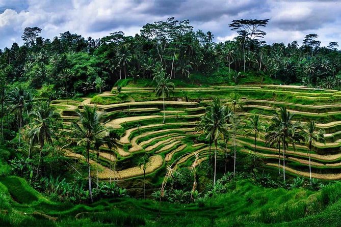 Kintamani Vulcano Tour - Why this Kintamani volcano route makes sense from Ubud