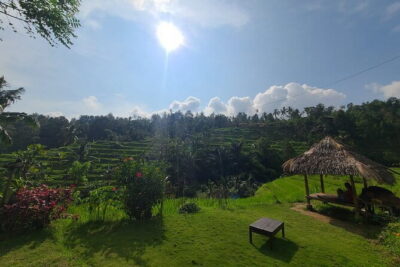 Lemukih Hidden Trekking Waterslide Sekumpul and Fiji Waterfall - Getting Your Body Ready: Terrain, Time, and Pace
