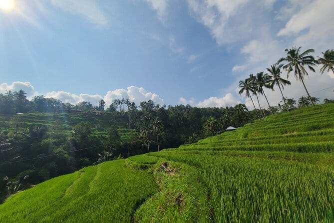 Lemukih Hidden Trekking Waterslide Sekumpul and Fiji Waterfall - Price and Value: How $25.60 Adds Up When It’s Not Just a Hike