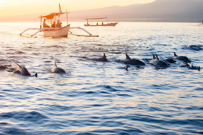 Lovina Sunrise Dolphin & Waterfall Tour - The 3am Dolphin Timing That Makes the Day Work