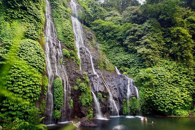 Lovina Sunrise Dolphin & Waterfall Tour - Private Tour Comfort: Pickup From Ubud and Your Group Only