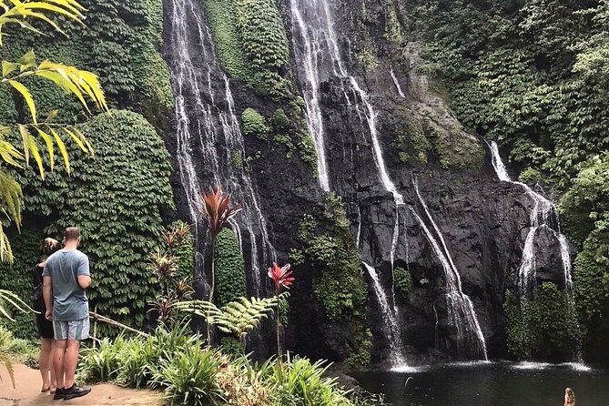 Lovina Sunrise Dolphin & Waterfall Tour - Price and Value: How $79 Fits a Full-Day North Bali Plan